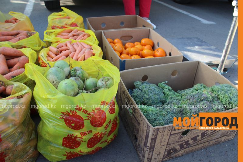 В день выборов в Уральске пройдет продуктовая ярмарка