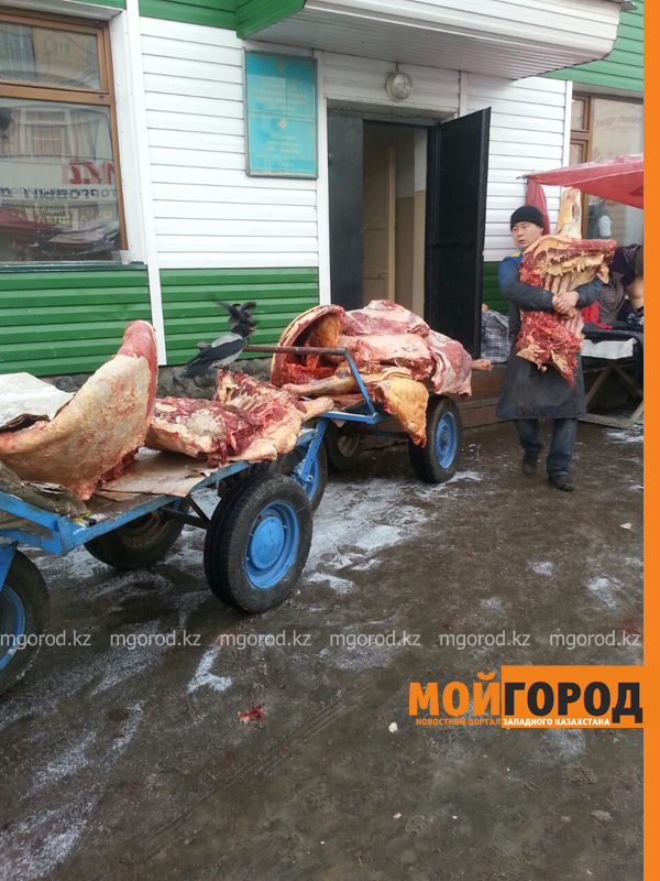 Вороны клюют мясо, привозимое на рынок Уральска