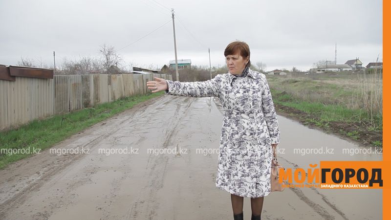 Еще одного ребенка в Уральске покусала собака
