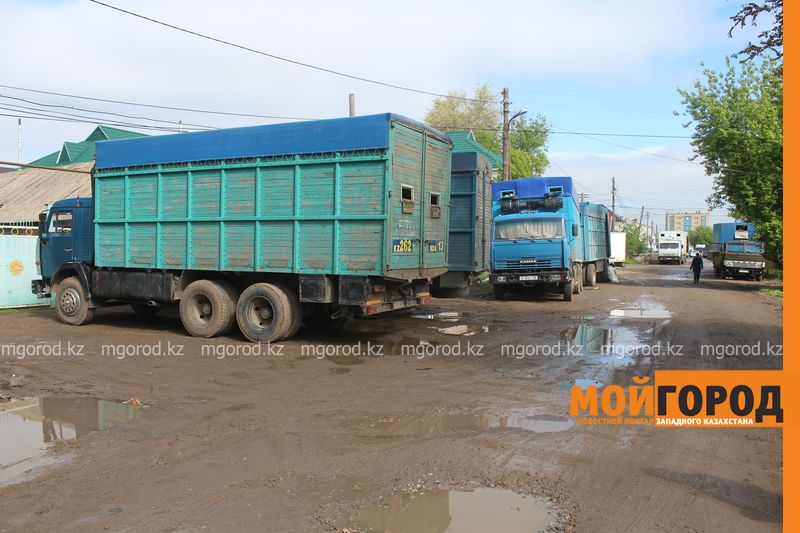 В Уральске развернулась стихийная торговля