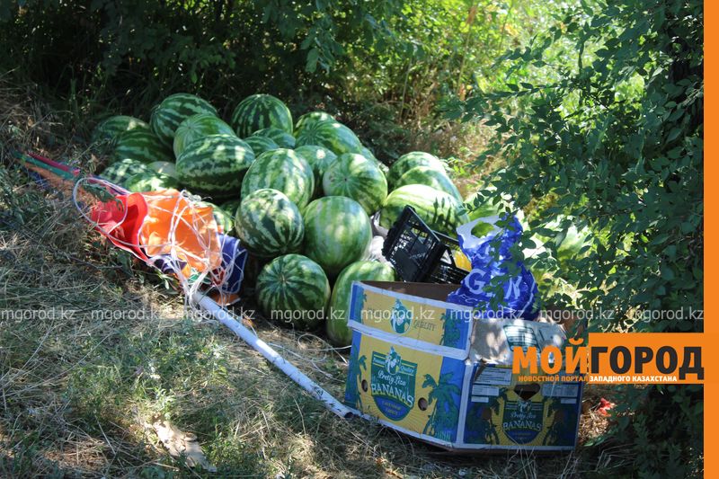 В Уральске торговцы прячут арбузы на обочине трассы