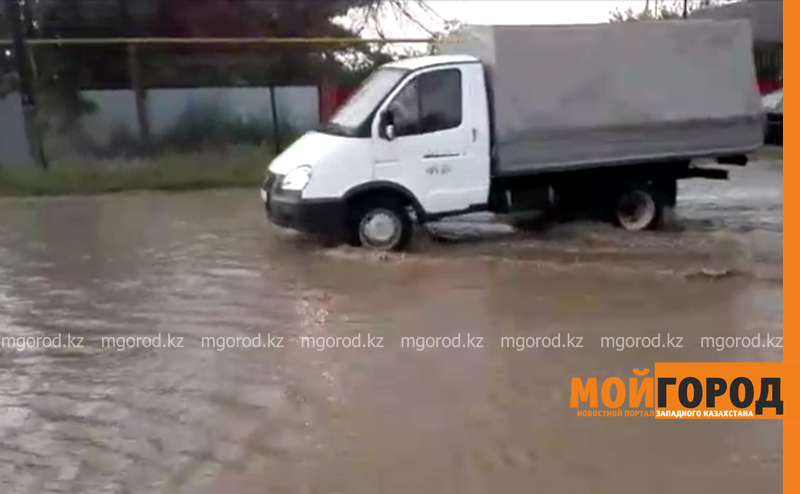 Из-за сильного ливня в селе ЗКО погибла домашняя птица