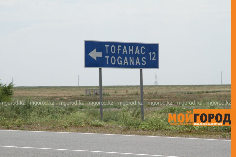 В селе ЗКО будут разводить осетров