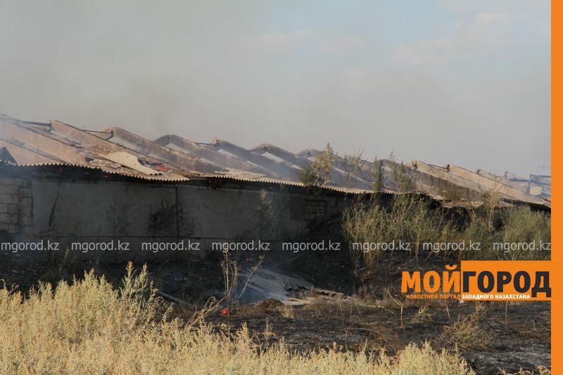 В ЗКО горел склад с 30 тоннами зерноотходов