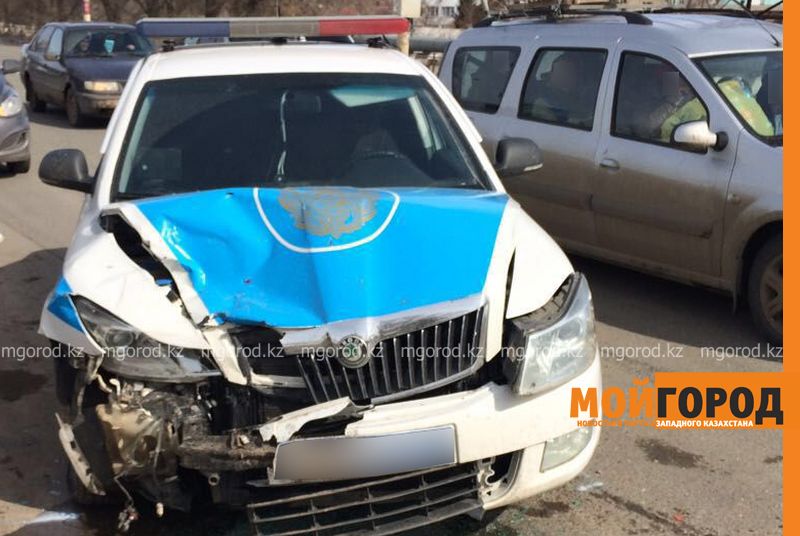 В ЗКО машина полицейских сбила корову