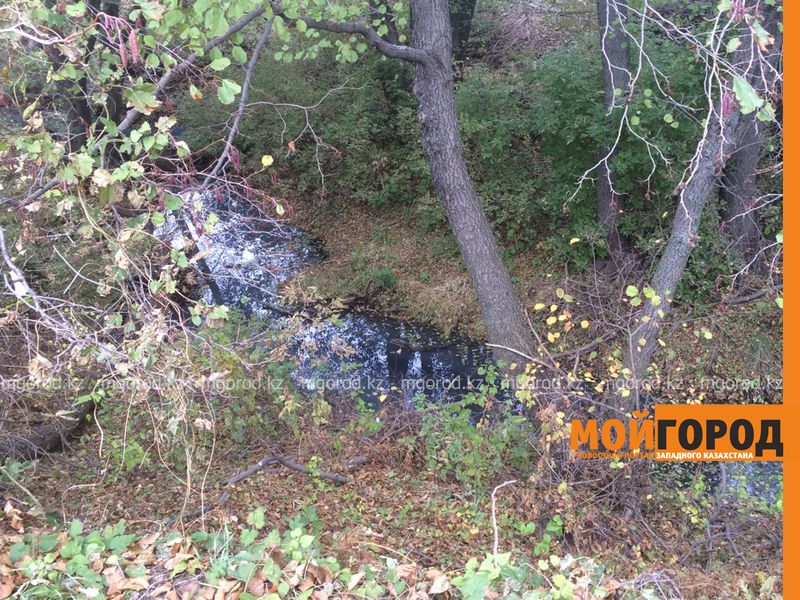 Отходы с месторождения незаконно вывозили на полигон ТБО Уральска