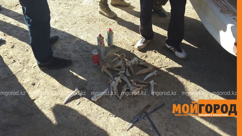 В ЗКО вместе с браконьерами задержали инспектора охозоопрома