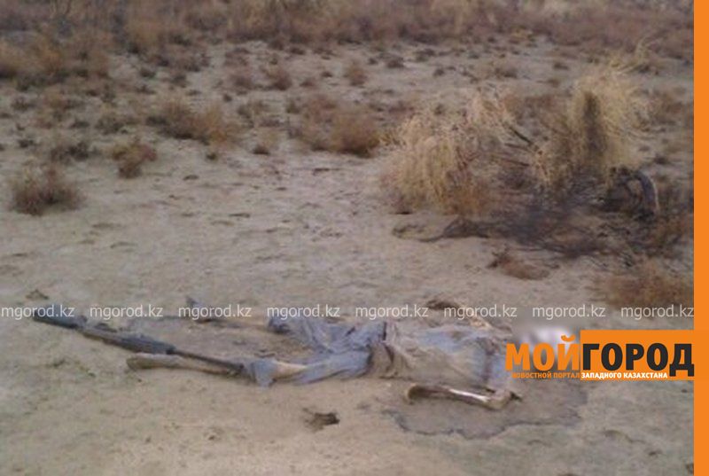 Криминалисты Мангистауской области изучают фотографию скелета в степи