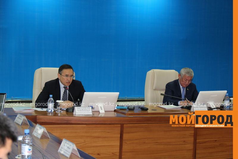 На казахстанских полях пшеницу собираются заменить на кукурузу, масличные и кормовые культуры