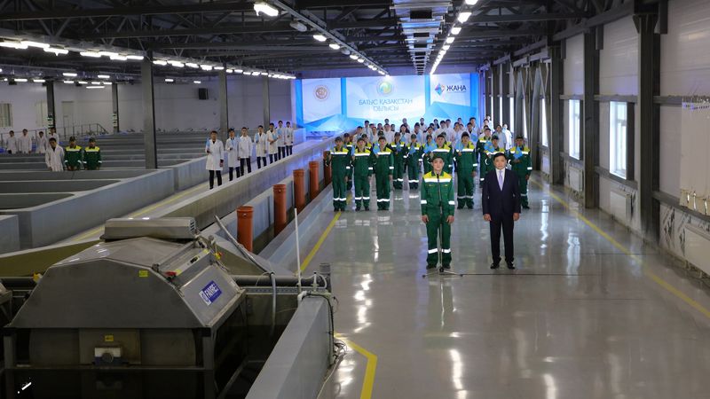Комплекс по производству осетрины и черной икры открыли в Уральске