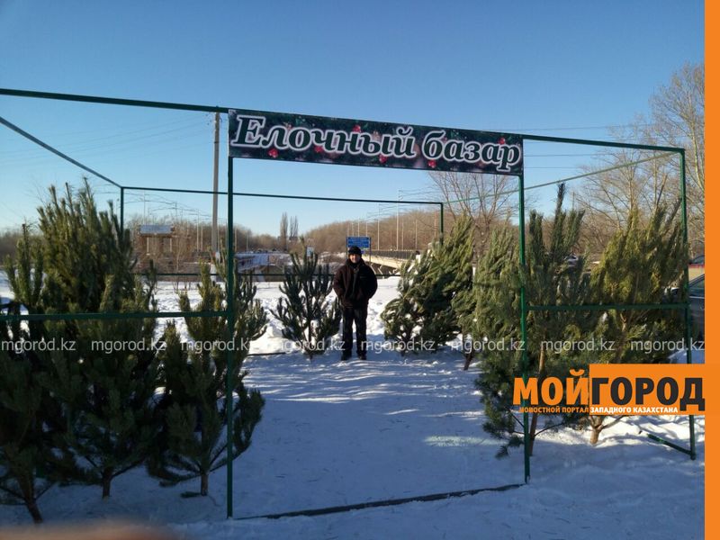 В Уральcке открылись елочные базары