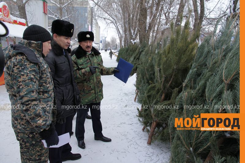 В Уральске полицейские проверяют торговцев елок