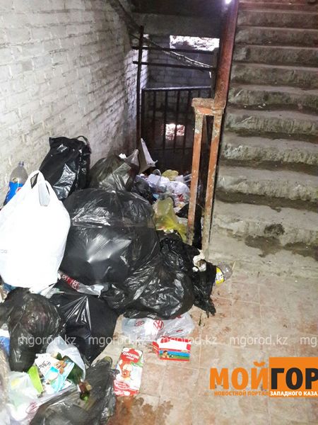 Жилой дом Атырау кишит крысами из-за мусорной свалки, которую жильцы устроили в подъезде