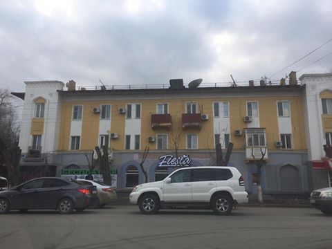 Обрезка деревьев «под пеньки» возмутила жителей Атырау