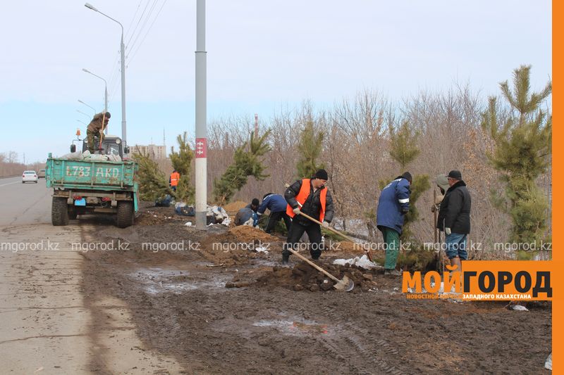 140 млн тенге потратят на озеленение Уральска