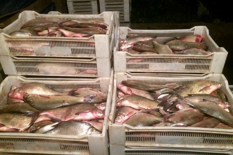 Уроженец ЗКО пытался вывезти из Атырау более 4 тонн рыбы