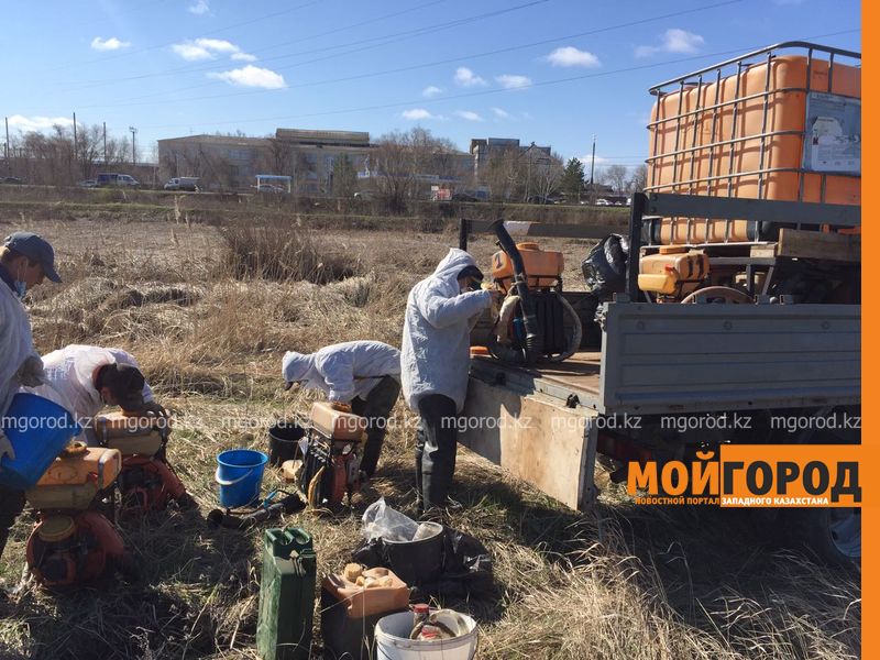 В борьбе с комарами в Уральске обработано 200 гектаров земель