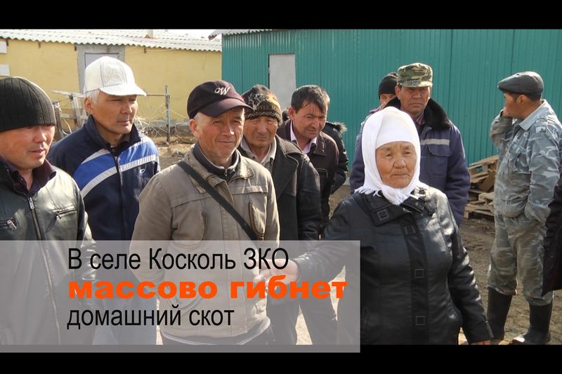 «МГ» представляет обзор новостей ЗКО за неделю