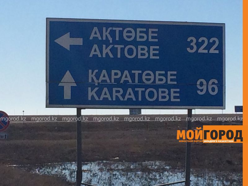 В ЗКО от инфекции гибнет скот