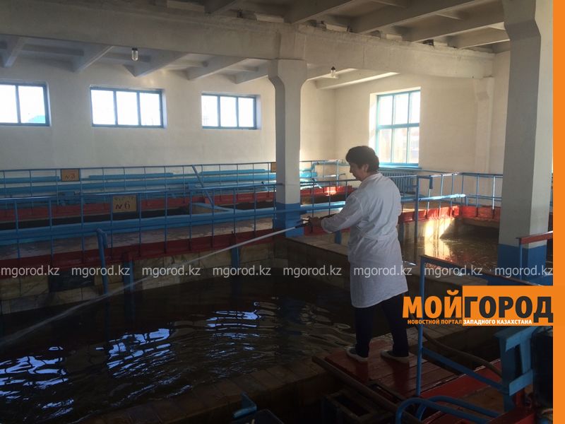 Один млрд тенге потратят на модернизацию водоснабжения Уральска