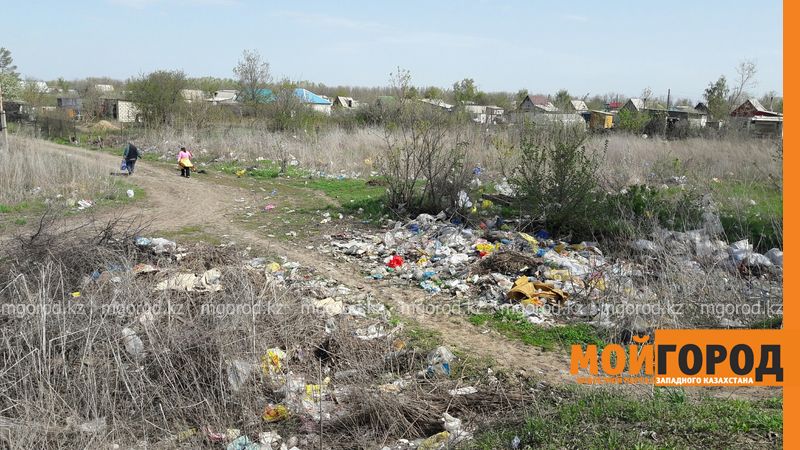 В Уральске дачникам некуда выбрасывать мусор