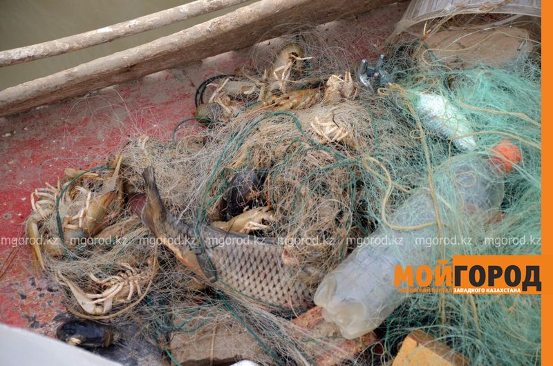 Более 50 тонн мусора собрали с берегов Урала в Атырау