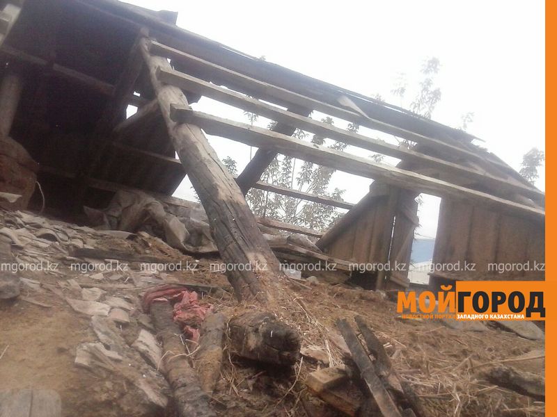 Останки человека нашли пожарные в дачном доме в Уральске