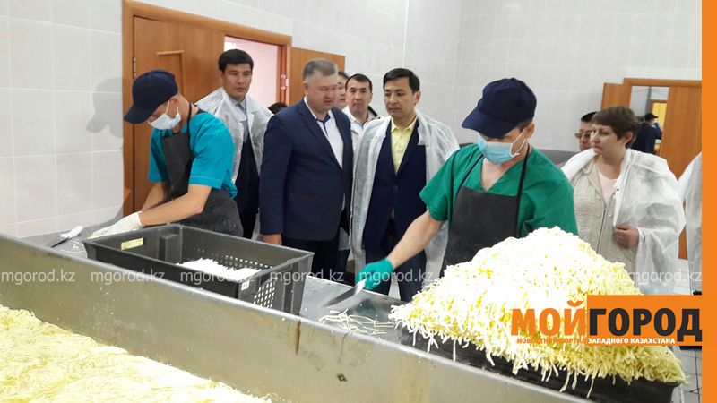 В ЗКО стало выгодно заниматься сельским хозяйством