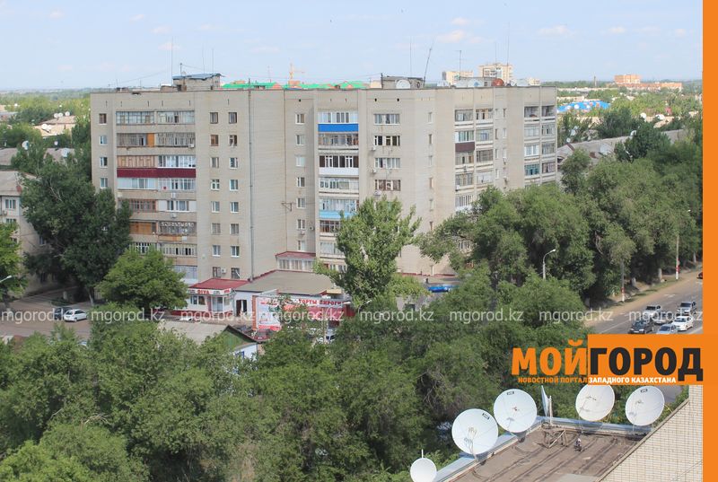 Дворы многоэтажек в Уральске обрабатывать от комаров не будут