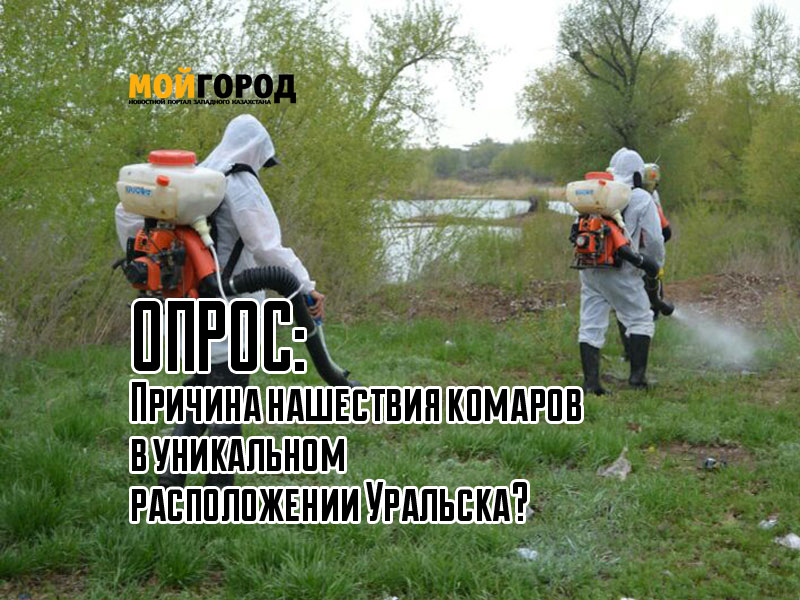 ОПРОС: Причина нашествия комаров в уникальном расположении Уральска?