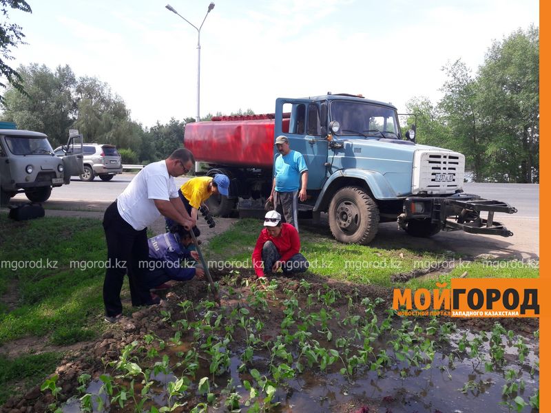 Озеленением Уральска занимаются более 200 человек