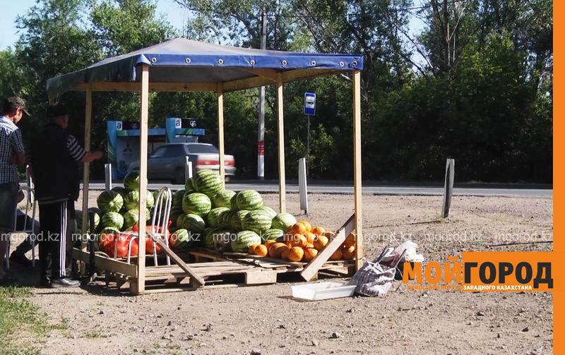 В Уральске дачникам не разрешают продавать продукцию вдоль дороги