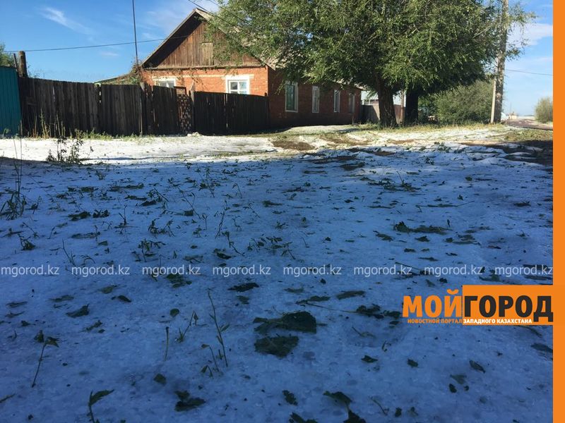 Сильнейший град в ЗКО: земля до сих пор покрыта льдом (фото)