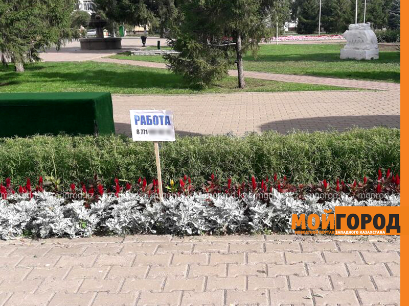 В цветочных клумбах в центре Уральска рекламируют сетевой бизнес