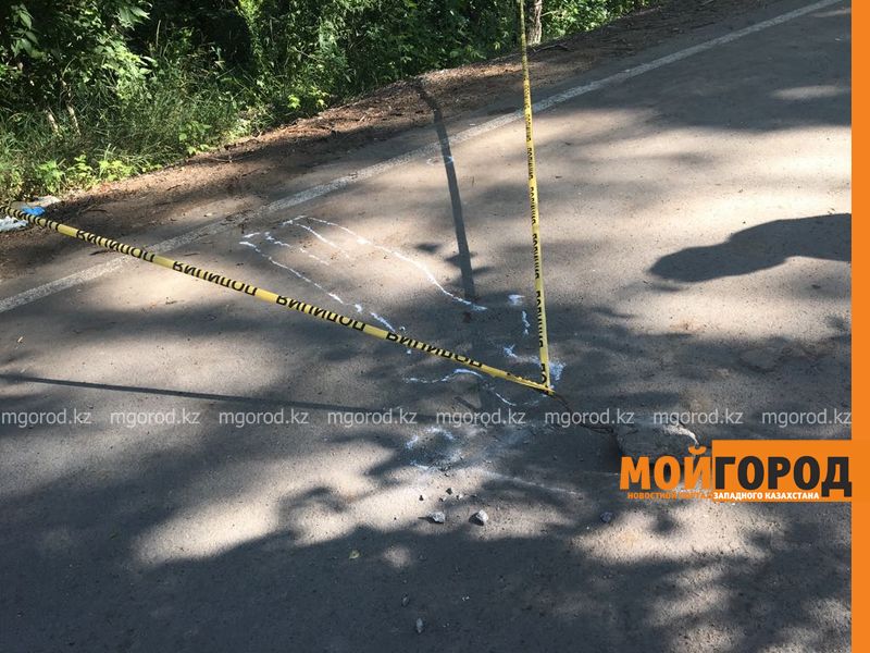 Полицейские задержали подозреваемого в убийстве молодого парня в дачном обществе Уральска