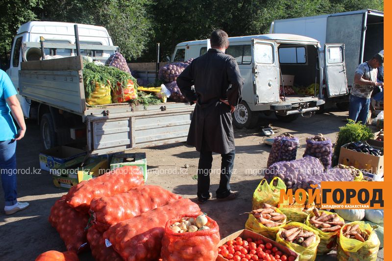 В Уральске пройдет сельхозярмарка