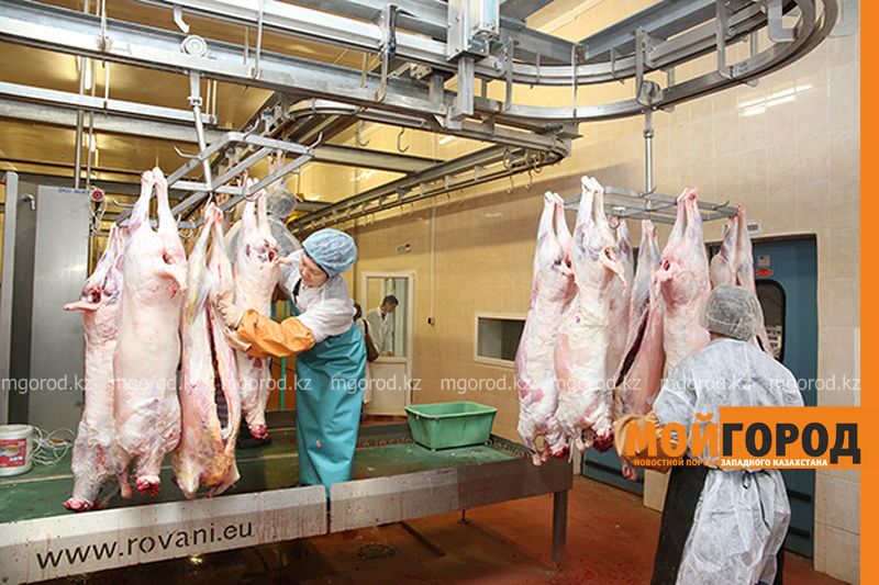 Мясо из ЗКО самолетами отправляют в Иран