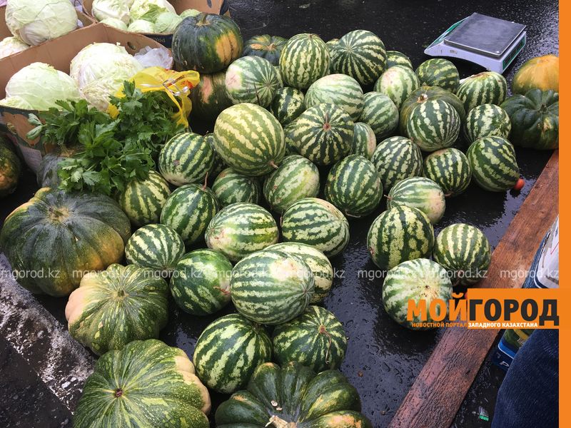 По 25 тенге за килограмм продавали арбузы на сельскохозяйственной ярмарке в Уральске