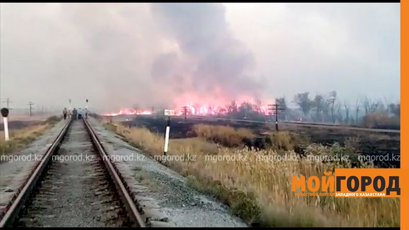 За сутки в ЗКО сгорело почти 600 гектаров степи