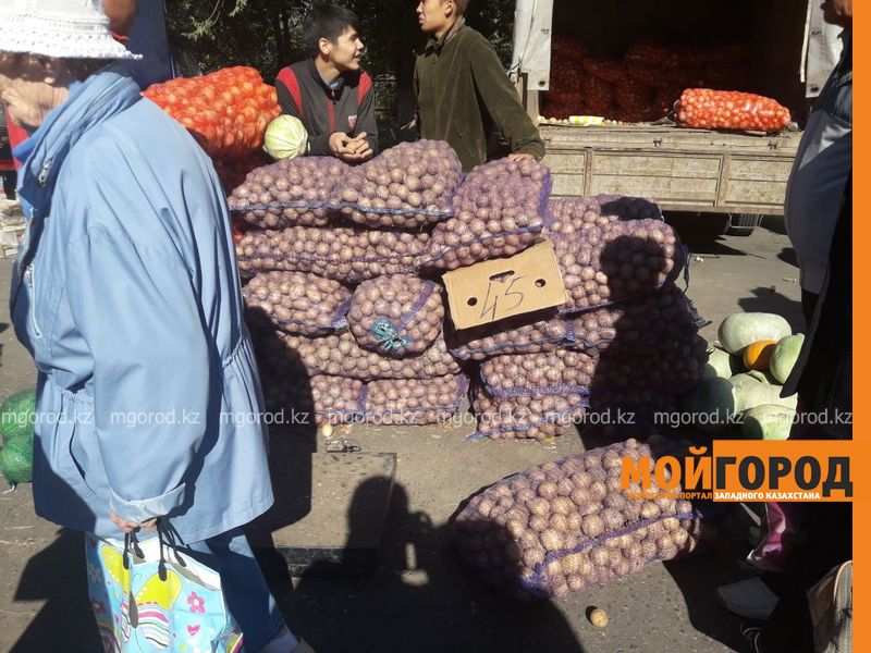 Уральцы просят на сельхозярмарках продавать мясо