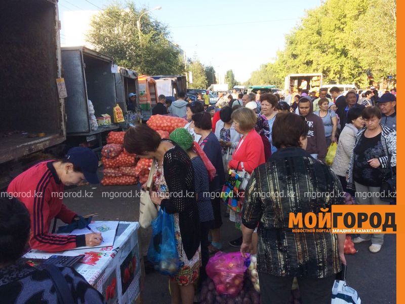 Уральцы просят проводить сельскохозяйственную ярмарку по воскресеньям