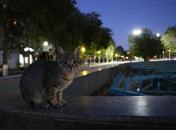 Осенний Атырау глазами его жителей