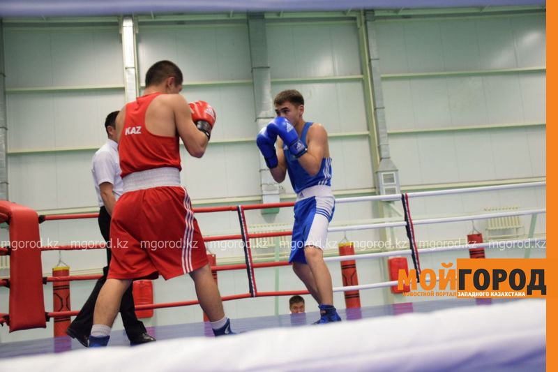 В Уральске проходит чемпионат ЗКО по боксу