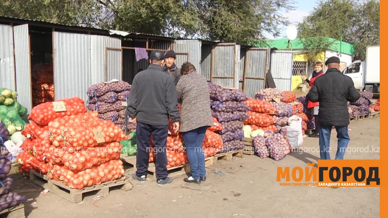 Почем картошка? «МГ» сравнил цены на овощи в четырех областях Западного Казахстана