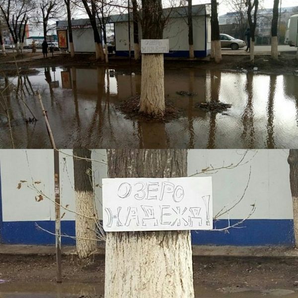 Вывеска на дереве развеселила уральцев