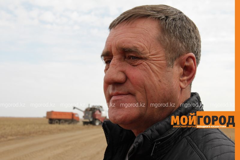 Разные виды птиц выращивают на птицеферме в ЗКО