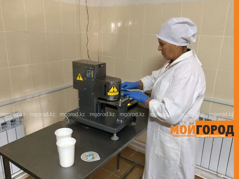 В районе ЗКО открыли цех по переработке молока