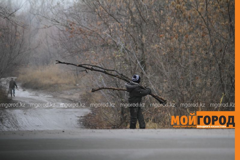 Погода на 26 ноября
