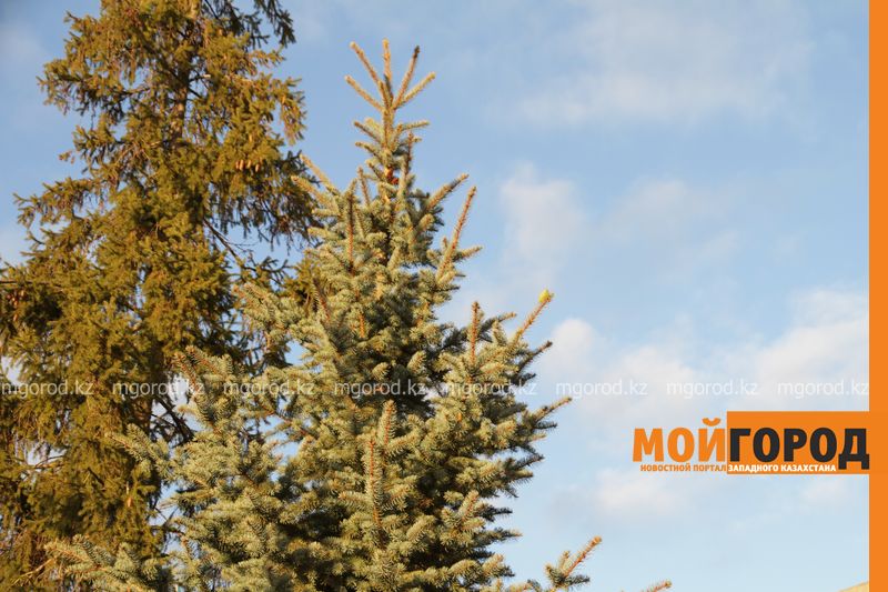 Погода на 20 ноября