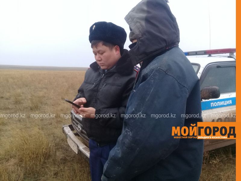Табун лошадей из ЗКО угнали скотокрады в Актюбинскую область